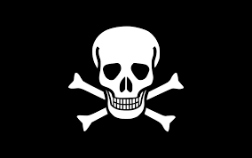 pirate flag logo